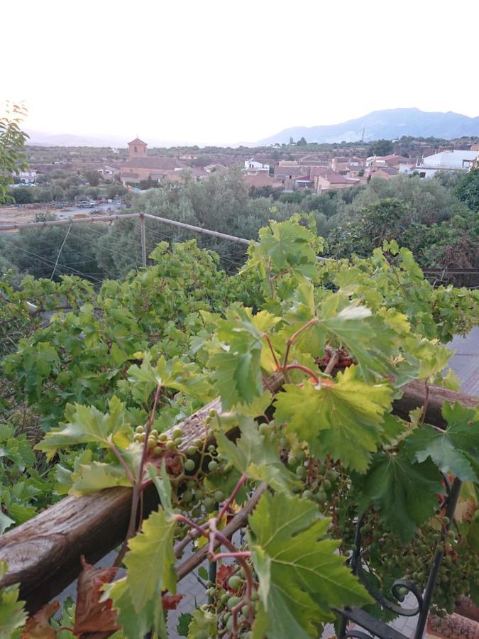 LecrinUn Balcon A Sierra Nevada别墅 外观 照片
